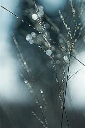 《上古卷轴5》单日MOD下载突破2100万 刷新记录